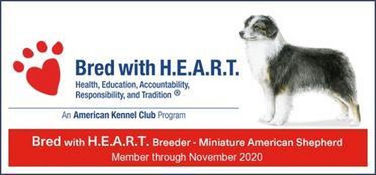 American Kennel Club’s Bred With H.E.A.R.T. banner