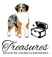 Treasures Miniature American Shepherds logo