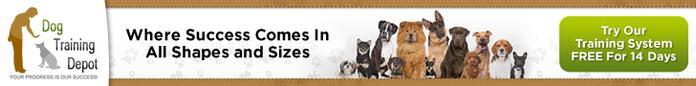 Dog Training Depot banner